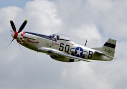 P51 Mustang _ Marinell