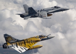 F18 and mirage in animal stripes