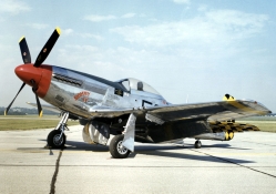 P 51D mustang