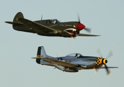 P40 Warhawk and P51 Mustang