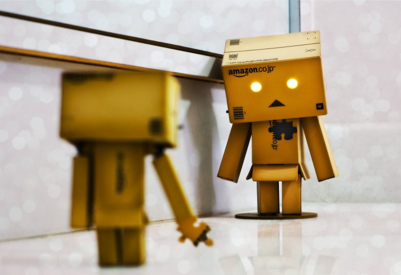 Danbo and the mirror
