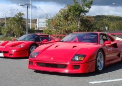 Ferrari F40, Ferrari F50
