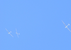Gliders on a sunny day,