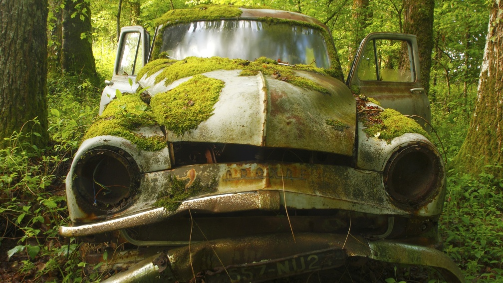 moss covered abandoned car in a forest
