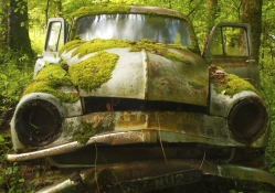 moss covered abandoned car in a forest