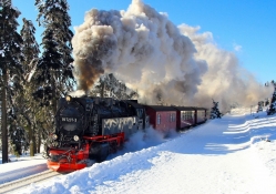 the german brocken railway in winter
