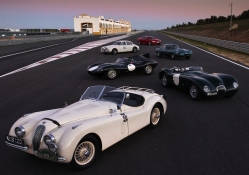 Jaguar Collection