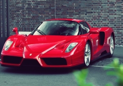 rojo Ferrari Enzo