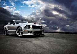 Saleen Ford Mustang S281