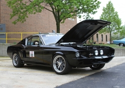 Shelby GT Mustang