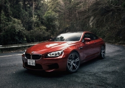 BMW rojo en un camino forestal