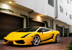 Lamborghini, Superleggera