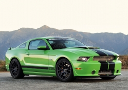 2013_Shelby_GT 350
