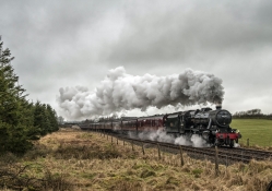 gorgeous steam train rolling through the countryside
