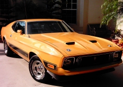 Awesome Muscle Car
