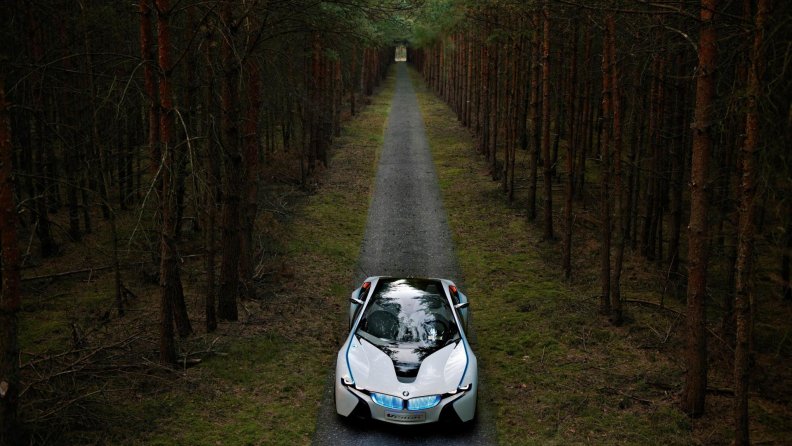 bmw_vision_in_a_forest.jpg