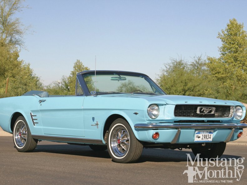 ford_mustangs_1965_1972_special_editions.jpg