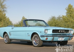 Ford Mustangs 1965 1972 Special Editions