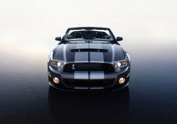 ford mustang shelby gt 500