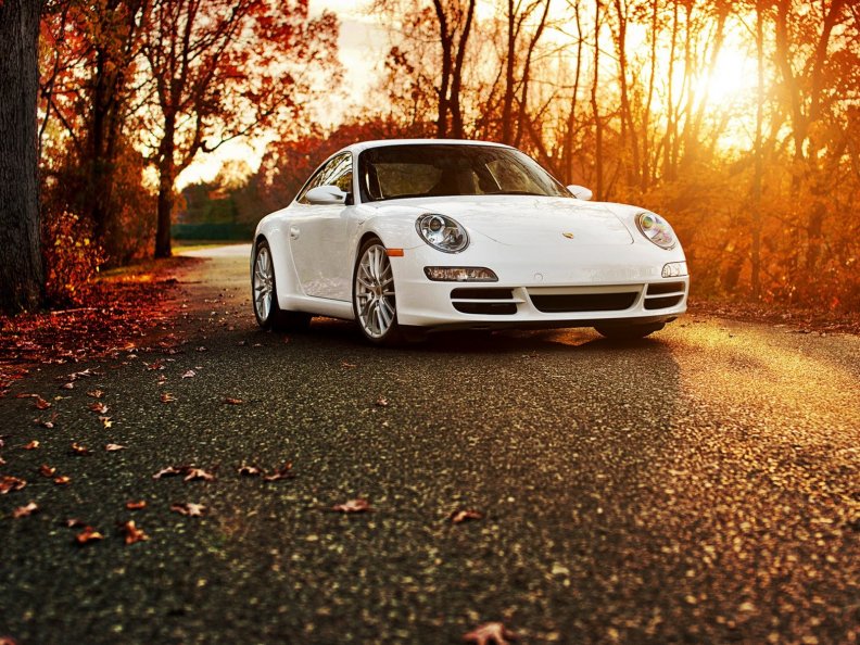 Porsche 911 Autumn