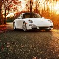 Porsche 911 Autumn