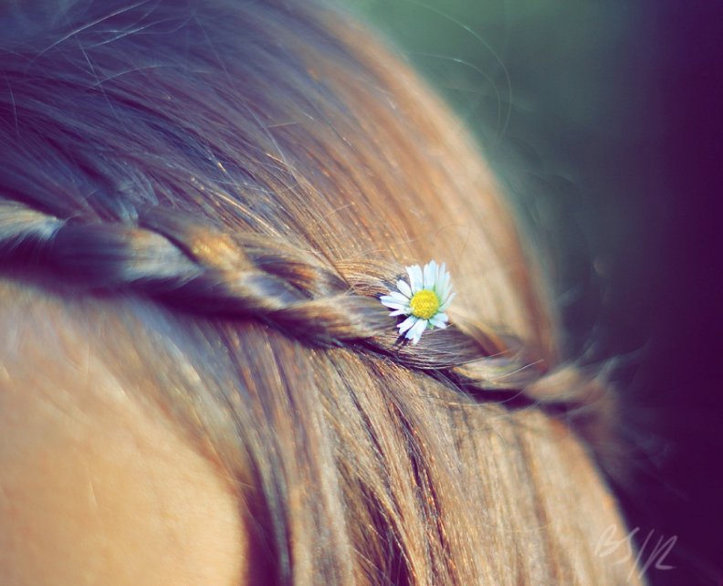 flower_in_her_hair.jpg