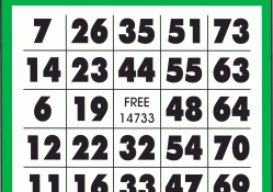 Bingo a lucky set of numbers 12,22,32,54,70,Bingo