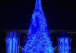 Oh Blue Christmas Tree