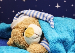 Sweet Dreams, dear Teddy!♥