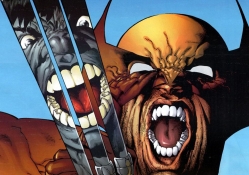 Wolverine &amp; Hulk