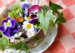 Spring flowers in a  cup