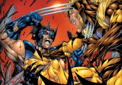 Wolverine vs Sabretooth