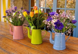 ♥♥♥ Spring in coffee pots ♥♥♥