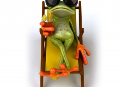 Relaxing frog