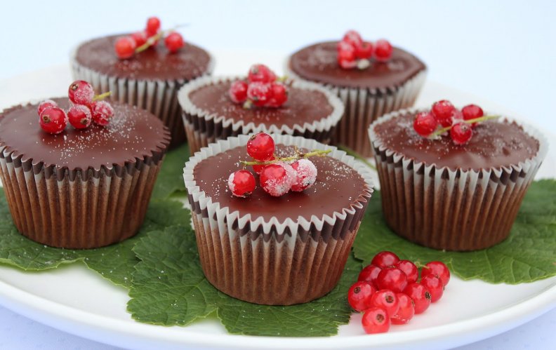 chocolate_cupcakes.jpg