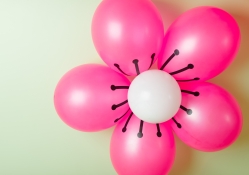 ~✿~  Pretty balloon flower ~✿~