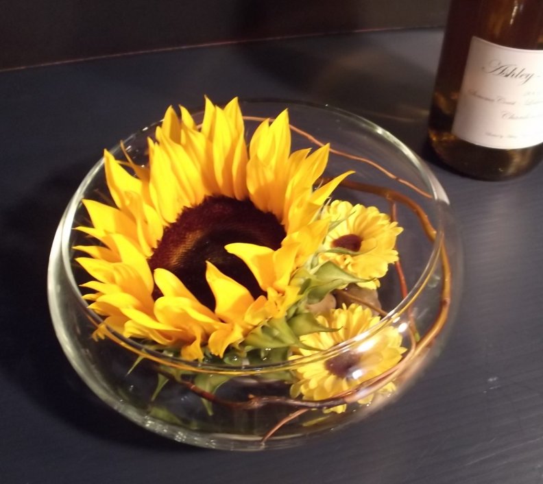 one_sunflower.jpg