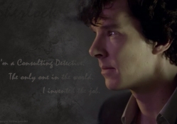 A Consulting Detective