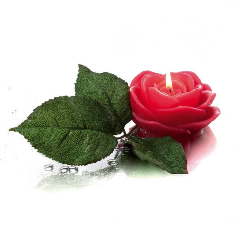 Rose candle♥
