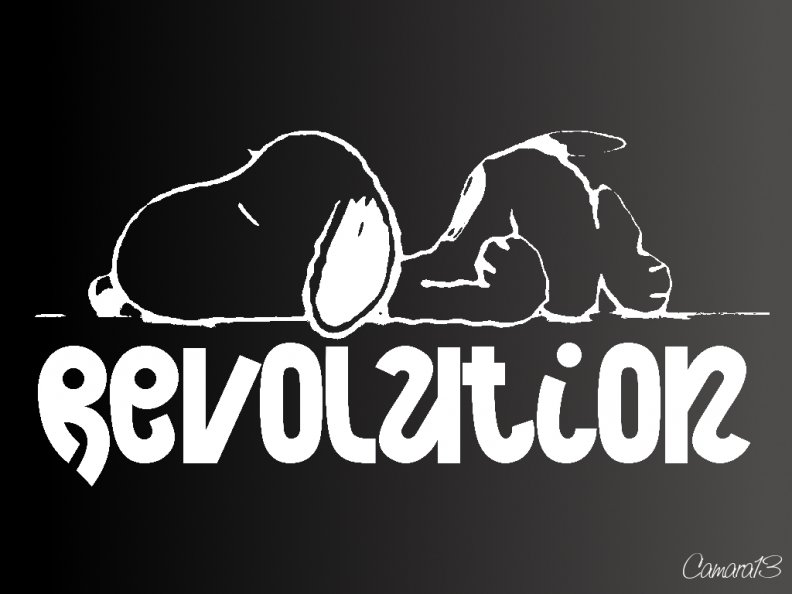 Snoopy Revolution