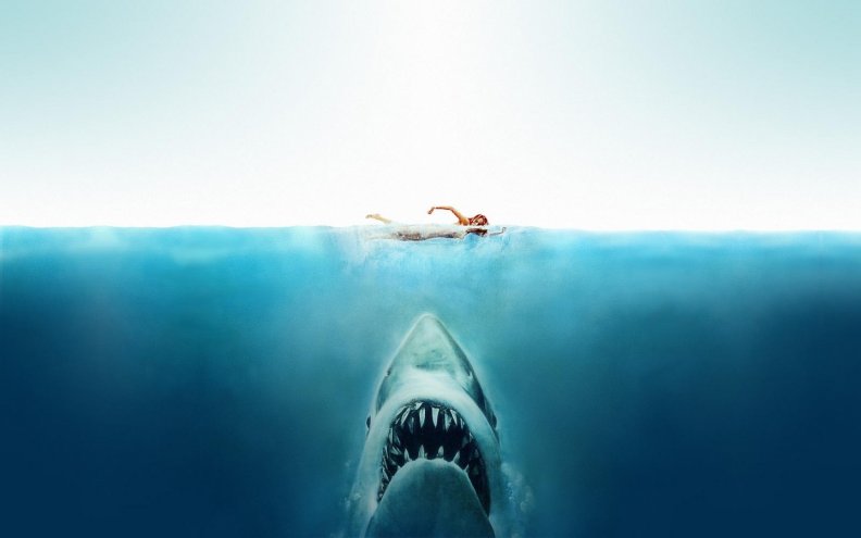 jaws_just_when_you_thought_it_was_safe_to_go_back_into_the_water.jpg
