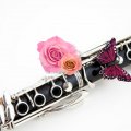 Clarinet Butterfly Music