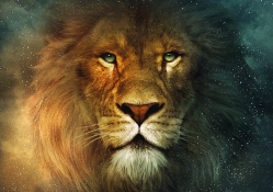 Narnia Lion