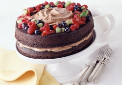 Chocolate Cake heaven