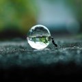 Amazing! (Ant pushing water)