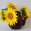 Char clay with SunFlowers ~♥~
