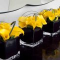 Stunning black cube with calla lillys