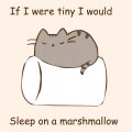 If i were tiny i would sleep on a marshmallow