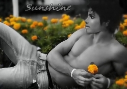 Forever SunShine ;)