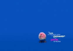 Power of Pink Chicks